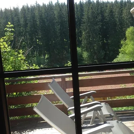 Vakantiehuis Kleines Mit Garten Absolut Ruhig Hochschwarzwald *