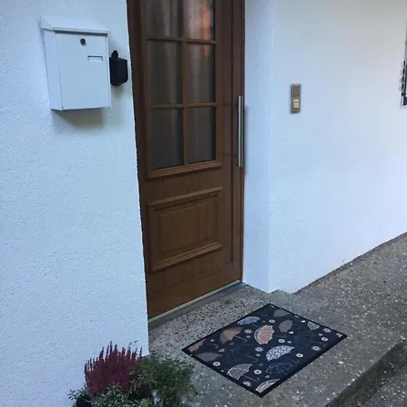 Vakantiehuis Kleines Mit Garten Absolut Ruhig Hochschwarzwald *